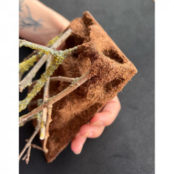 Size XL decor with hiding spot